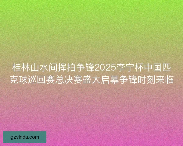 桂林山水间挥拍争锋2025李宁杯中国匹克球巡回赛总决赛盛大启幕争锋时刻来临