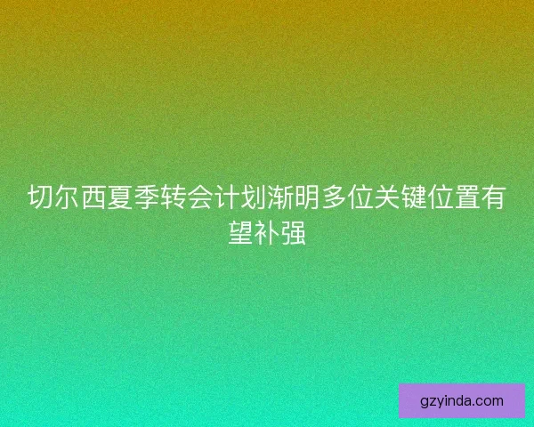 切尔西夏季转会计划渐明多位关键位置有望补强